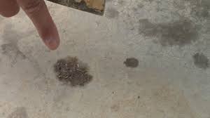 Once you get the floor clean, consider resealing it with a product that is more resistant to grease. How To Remove Grease From Patio Grill Droppings Youtube