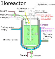 Processes Of Recombinant Dna Technology Isolation Restriction Videos In 2020 Dna Technology Alternative Energy Sustainable Energy