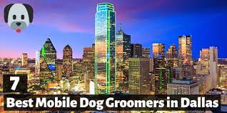 Maybe you would like to learn more about one of these? The 7 Best Mobile Dog Groomers In Dallas Texas Little Paws Training