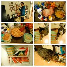 For the cat who will eat anything 7. Sauteed Happy Family Homemade Cat Food Homemade Cat Food Homemade Cat Cat Treats Homemade