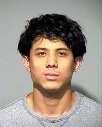 Not guilty by mental defect in fatal highway shooting of Buffalo Grove woman