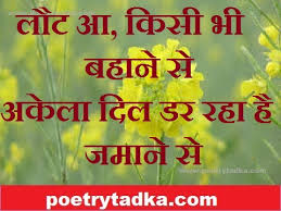 Image result for shayari new