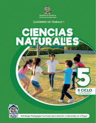 Libro de ciencias naturales sexto grado honduras · bloque 1: Cuadernos De Trabajo De 1 A 9 Grado Zonadeldocente Com