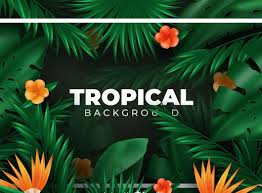 Hormon tumbuhan atau sering disebut fitohormon merupakansekumpulansenyawa organikbukan hara(nutrien), baik yang terbentuk secara alami maupun buatan. Download 30 000 Gambar Background Nuansa Tropis Computer 1001