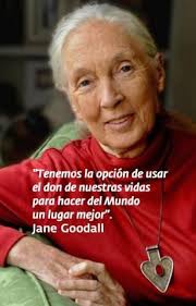 Resultat d'imatges de frases de Jane Goodall