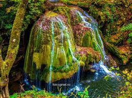 Ce obiective turistice poți vizita la cazanele dunării. AtracÅ£ii Turistice In ZonÄƒ Complex Egreta Ro