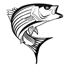 We have lined up the best fish coloring pictures for you. Striper Bass Fish Coloring Pages Best Place To Color