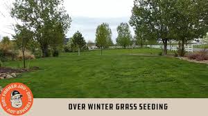 How to best grow grass seed. Over Winter Grass Seeding Youtube