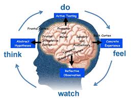 4mat Train The Trainer How Learning Happens4mat Train The Trainer Blog Studievaardigheden