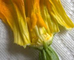 Maybe you would like to learn more about one of these? What Is Difference Between Male And Female Zucchini Blossoms