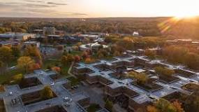 Image result