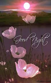 Good Night Image With Flowers Good Night Flowers Good Night Beautiful Good Night Image