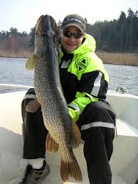 Ser ut som du fiskar mellan fabriken och slussen Fiske Rekord Pa Mcdz Net Mcdz Net