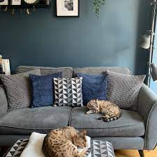 Dfs On Twitter Easy Like Sunday Morning Kyra In Graphite Https T Co K8tgjpgzaa