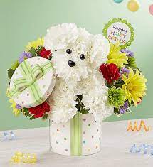 Maybe you would like to learn more about one of these? Party Pooch Happy Birthday Bouquet Conroys Funeral Flowers Inglewood