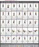 Total Gym Exercise Chart Pdf Gym Workout Chart Total Gym