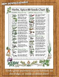 downloadable herbs spice seeds chart for kitchen