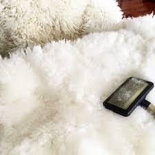 Should you bring your rug to a dry cleaner, make sure. How To Clean A Sheepskin Rug Expert Advice Freshcleaning