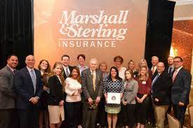 Free online quotes · local agents available · free quotes online Marshall Sterling Insurance Elite Agencies 2018 Insurance Business America