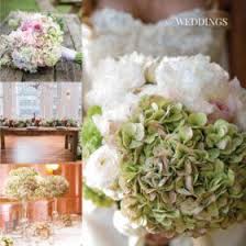 Maybe you would like to learn more about one of these? Hydrangea Jumbo Antique Green 20 Stems Sam S Club Bulk Wedding Flowers Wedding Flowers Flower Arrangements