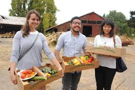 Build a farm from the ground up and fill orders. 2017 Guide To Summer Farm Experiences Cuesa