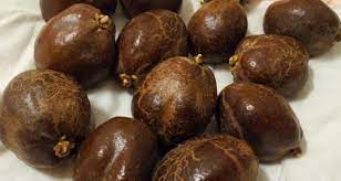 Selain itu kandungan gizi yang tinggi bagi semua yang mengkonsumsinya. Pokok Buah Zuriat Encikshino Com