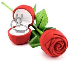 Use them in commercial designs under lifetime, perpetual & worldwide . Buy Stylish Teens Glamorous H Letter Sterling Silver Zircon Rings For Women Girls With Rose Box Packing Online At Low Prices In India Paytmmall Com