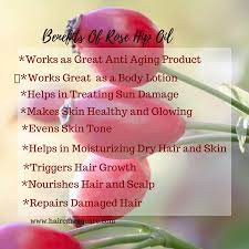 Rose water benefits for hair. Benefits Of Rosehip Oil For Hair And 3 Diys Ft Natures Absolutes
