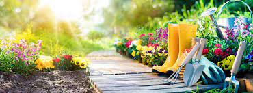 Der garten im frühling 24.03.2021. Gartenkalender Welche Gartenarbeit Steht Wann An