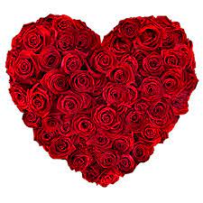 Un mazzo di rose rosse è particolarmente indicato per una dichiarazione, un rosa bianca: Cuore Di Rose 50 Rose Rosse Floraqueen