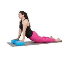 Yoga Blocks Blue Pair