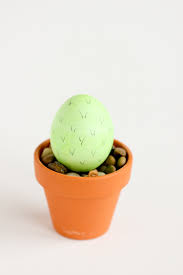 Delphinia pickett vor 4 monate +1. Cactus Easter Eggs