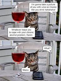Great Insight From A Cat Karen Memes Funny Cat Memes Crazy Funny Pictures