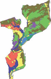 We live by our strong values, our independence and integrity, and our commitment to helping society achieve its aspirations. Mapa Dos Diferentes Tipos De Vegetacao Natural Original Em Mocambique Download Scientific Diagram
