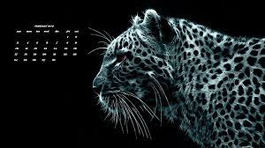 Latest February 2019 Calendar Designs For Desktop Leopard Wallpaper Cheetah Wallpaper Snow Leopard Wallpaper
