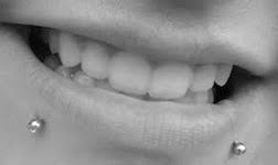 Submitted 2 years ago by crab_is_here. Blog Aia Piercing C Est Quoi Le Piercing De Labret Aia Piercing