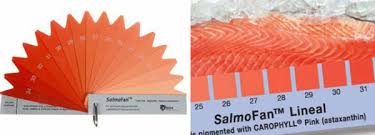 Natural color system / ncs. Carta De Colores Pantone Para Tenir El Salmon De Granja No Puedo Creer
