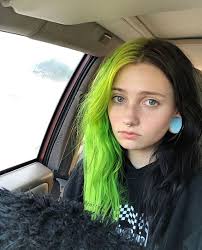 Black And Neon Green Hair Split Terrou Aesthetic Hair Dyed Hair Half Dyed Hair