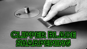 Alternatively, you can soak the blades for a few hours to remove really stuck on debris or rust. Clipper Blade Sharpening Youtube
