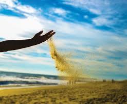 Any Way the Wind Blows