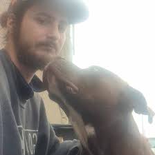 What is the best transport pal?