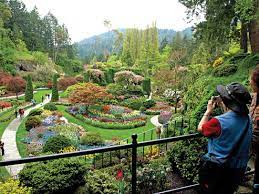 Please note that you are visiting the butchart gardens at your own risk. Butchart Gardens Worth Price Of Admission The Star