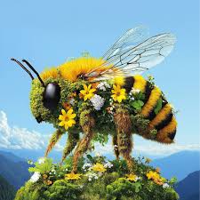 I Love Bees