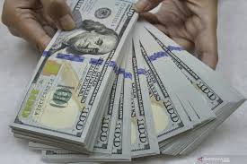 From latin dolēre, present active infinitive of doleō. Dolar Tergelincir Fed Sebut Tak Naikkan Suku Bunga Dalam Waktu Dekat Antara News