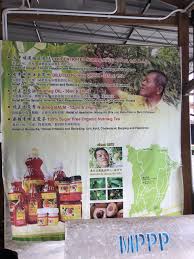 Nutmeg trees flower and fruit twice a year but they can be harvested over a couple of months rather than immediately, explains chang kun mim, managing director of ghee hup enterprise. Ghee Hup Nutmeg Factory Balik Pulau 2021 All You Need To Know Before You Go With Photos Balik Pulau Malaysia Tripadvisor