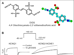 Each type of atom has a characteristic color. Effect Of Dids On Kcnq1 Channels Depends On The Presence Of Kcne1 A Download Scientific Diagram