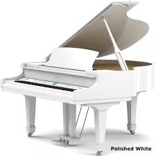 Maybe you would like to learn more about one of these? Broadway Mk11 Digital Self Playing Baby Grand