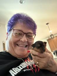 Hi, I'm new here and sharing my dog's 2nd birthday photo