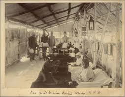 Dr Hunter's Plague: Gender, Race and ...