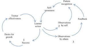 Emotional Intelligence Frameworks Charts Diagrams Graphs